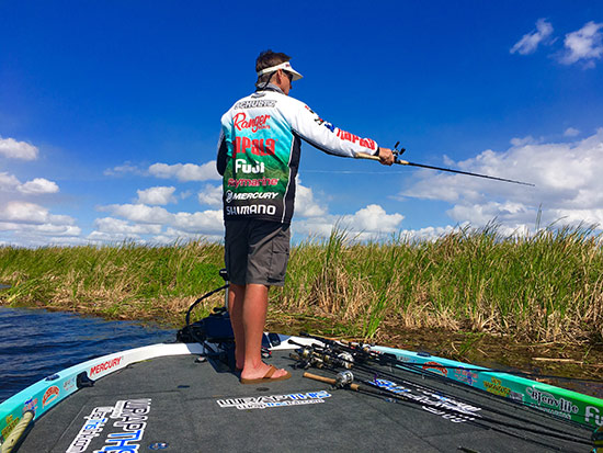 Cattail reeds with floating mats can hold quality "Big O" bass.