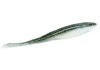 d-shad.jpg