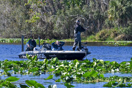 Lily pads fields produced well for some, but not this angler. - image courtesy of BASSMASTER.com