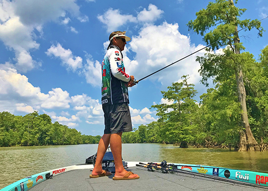 Cypress trees are magnets for tidal-water bass.