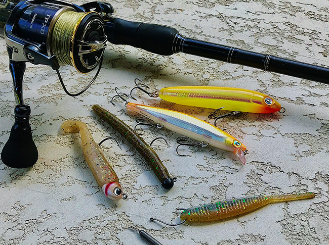 As the tour heads north, you can bet I'll have these lures tied on.