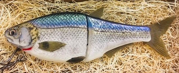 Swimbait Yamamoto
