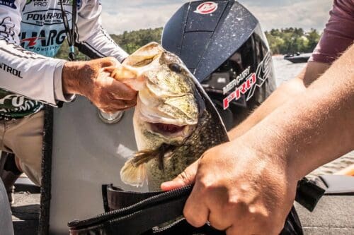 2024 Bassmaster Elite Series: The Road Ahead