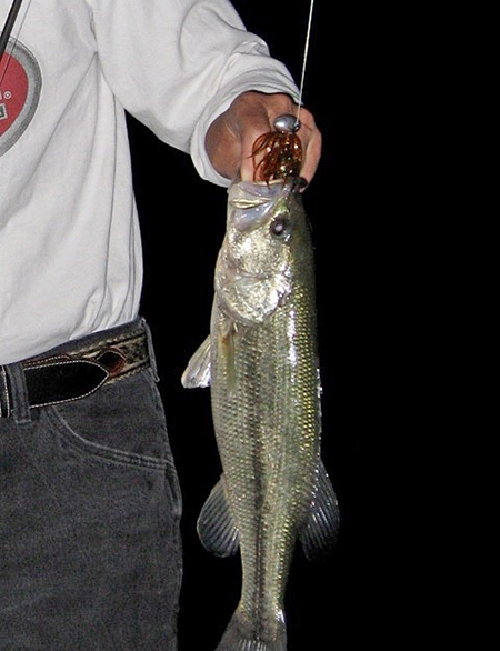 One-tonner with a skirt/twin-tail grub combo -&nbsp;one of the best night baits ever.