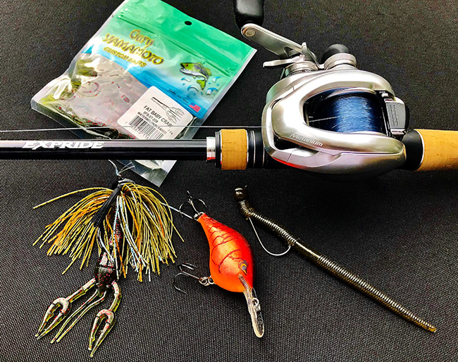 Here's the lure selection that performed best for me. (L-R) Custom 3/8-ounce jig tipped with Yamamoto Fat Baby Craw, Rapala DT-6 in Red Demon pattern, and 1/8-ounce VMC Shaky Head with Yamamoto 5" Thin Senko in green pumpkin.