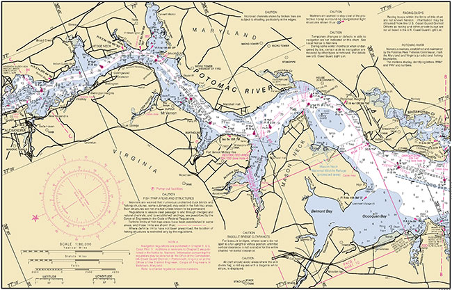 The Potomac is a healthy river, rich with an abundance of grass and man-made cover.