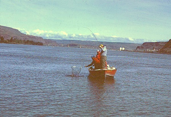The big Columbia River for decades now has been supporting excellent populations of bass, walleye, and panfish. Every angler who fishes for these non-migratory species is one less angler seeking the salmon fishing authorities are understandably tryi…