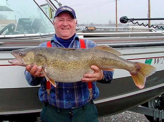You're looking at the largest walleye ever caught by a Washington state walleye angler. Mike Hepper of Richland weighed this 19.3-pounder. I've got to believe every state in the union but Washington and Oregon would be delighted to have this kind of…