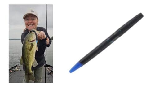 Black And Blue