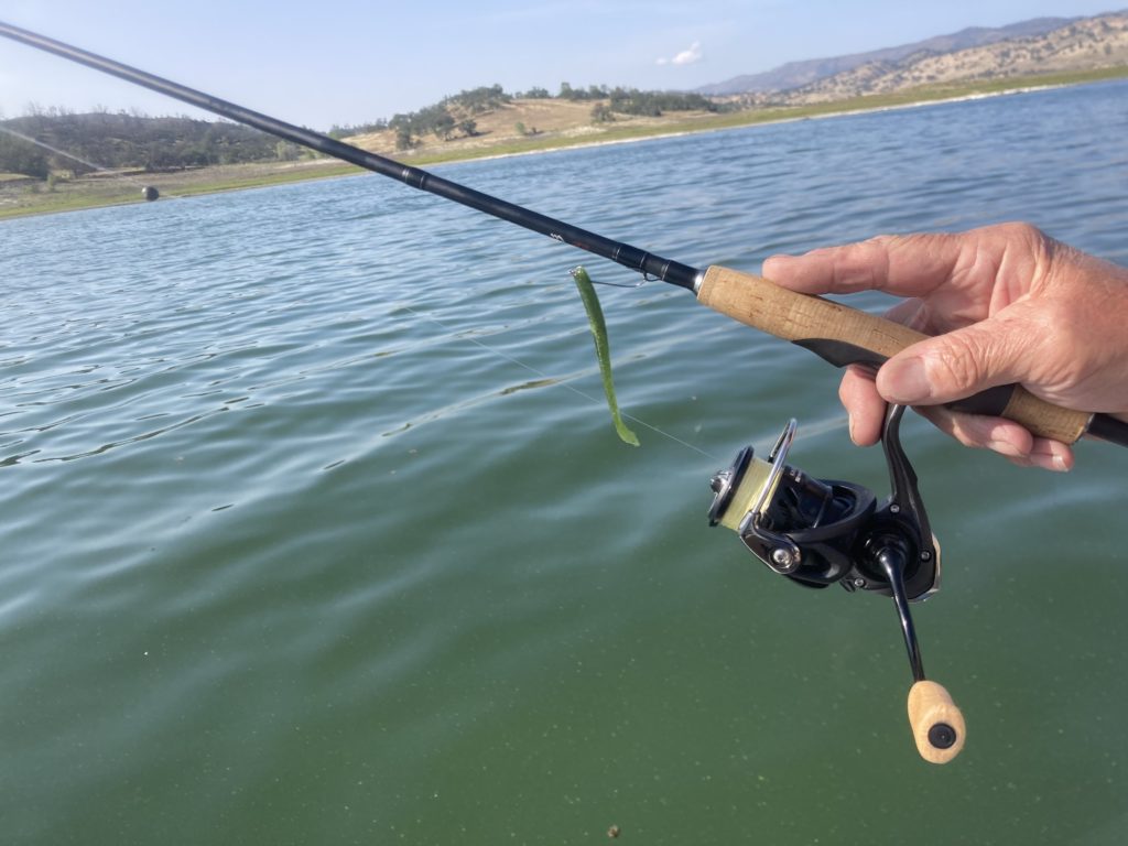 Split Shotting The Kut Tail Worm