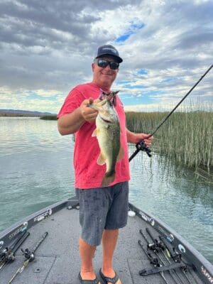 A New Craw Up Hawk's Sleeve