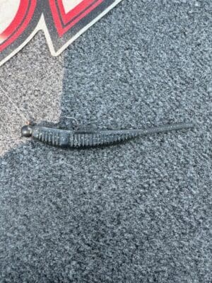 Robert Gee And The Shad Shape Worm