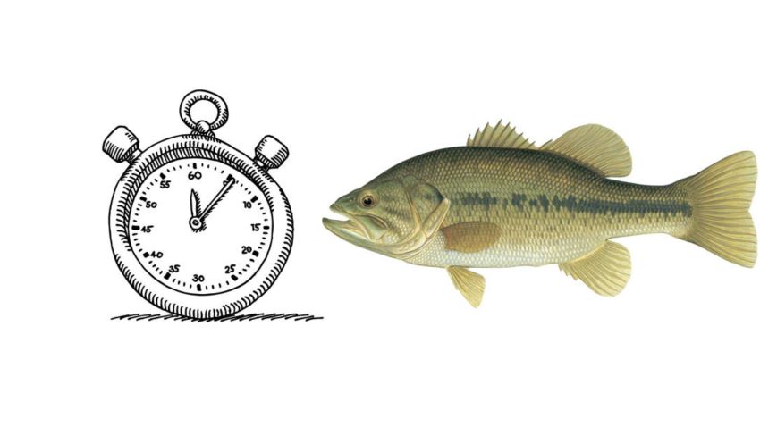 When It’s Your Time, It’s Your Time