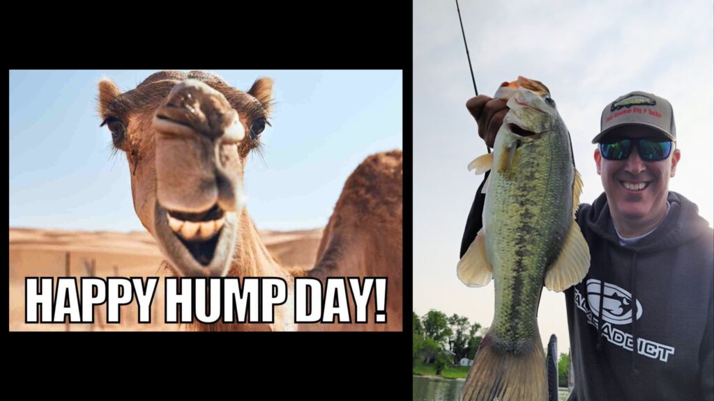 <strong>a Lifetime Of Wednesdays</strong>