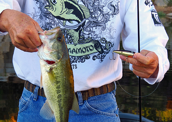A topwater bait fished over a channel will often draw bass up, especially in summer.
