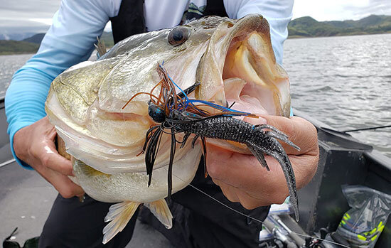50 Effective Jig Tips