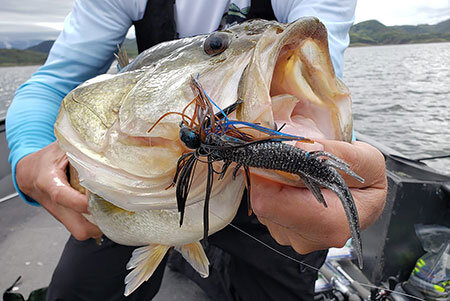 anderson-jigtips04.jpg