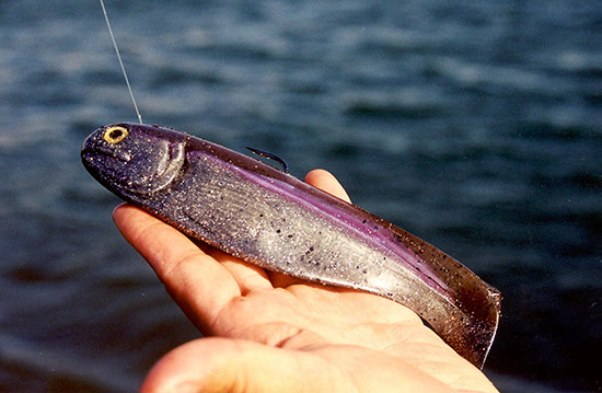 Bigger swimbaits come in a variety of shapes and colors.