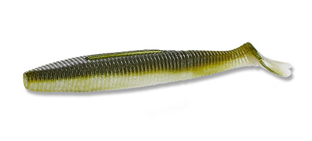 The Heart Tail in Olive Shad