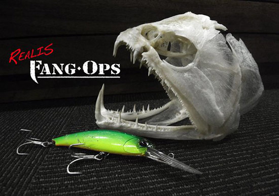 blog-fang02.jpg