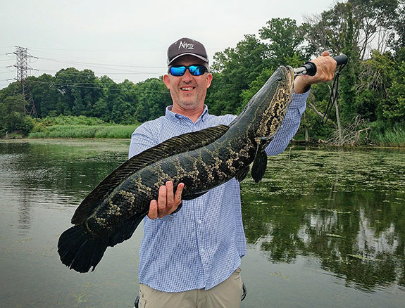 blog-snakehead04.jpg