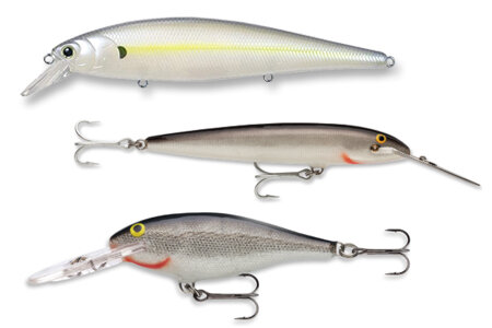 brown-dobyns-prespawn04.jpg
