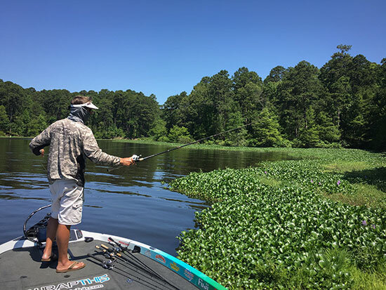 Maximize Florida's Early Spawn