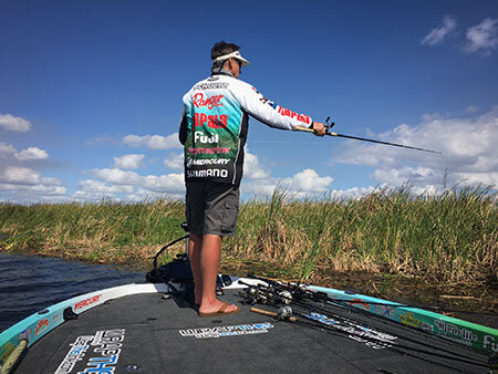 brown-floridaspawn02.jpg