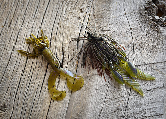card-jigs02.jpg