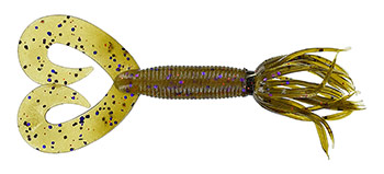 card-jigs03.jpg