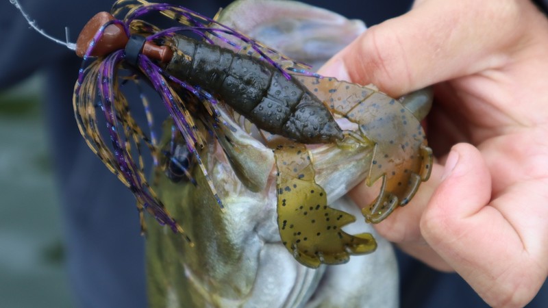 <strong>3 Hot Baits For Summer River Smallmouth</strong>