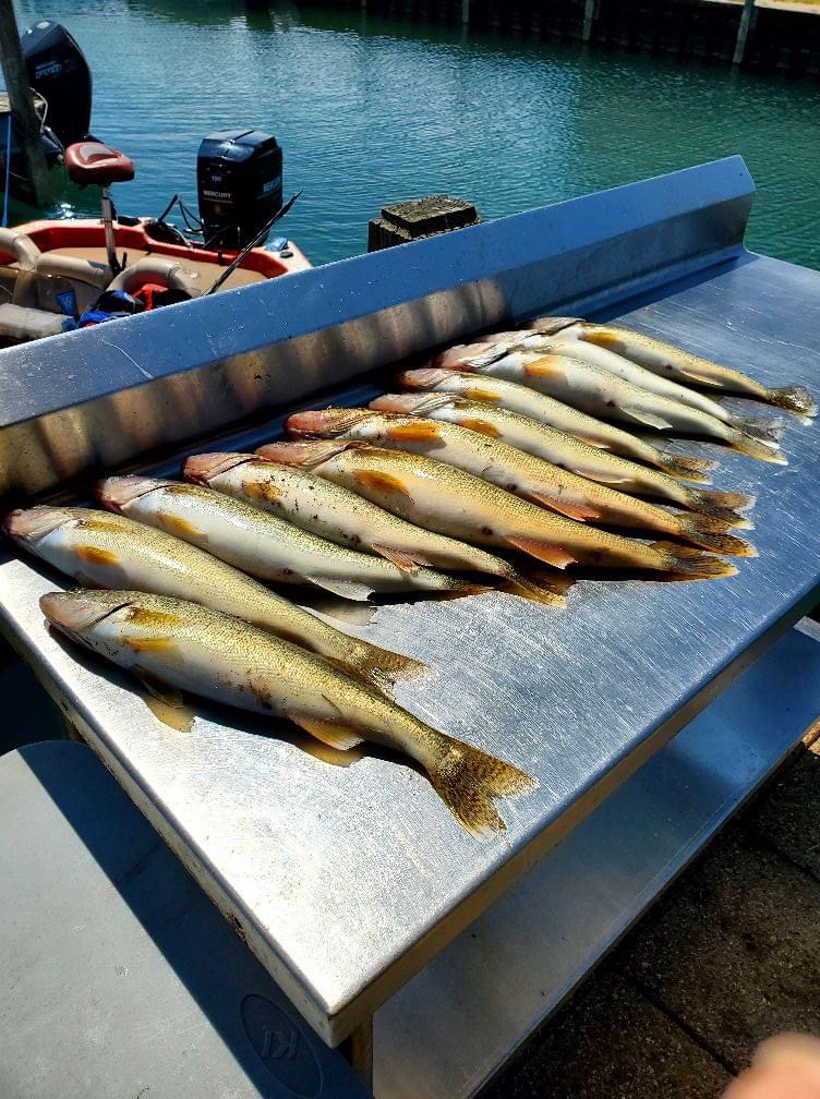 The Wonderful World Of St. Clair Walleyes