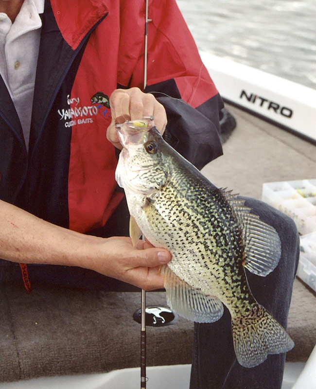 insideline-anderson-allfish01.jpg