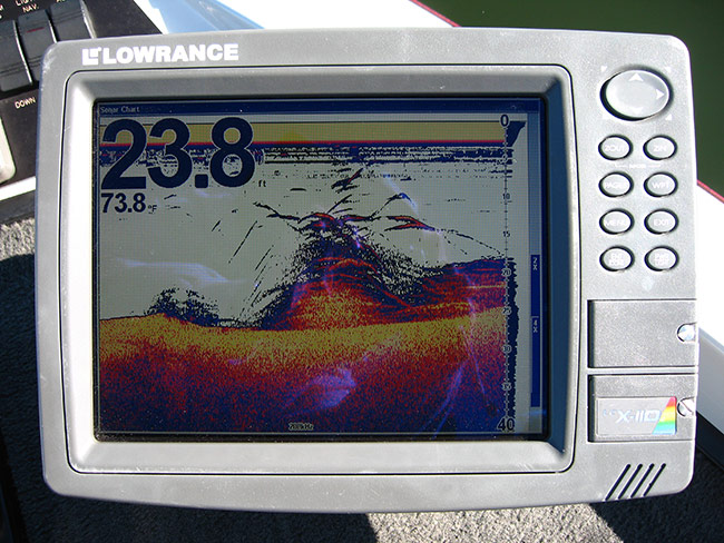 A school of crappie over structure.