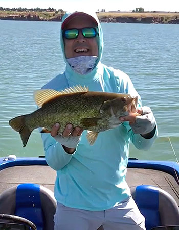 insideline-beilue-swimbait01.jpg