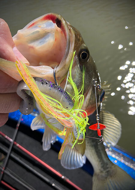 insideline-beliue-spinnerbaits02.jpg