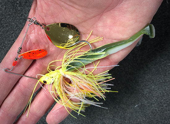 Spinnerbait Trailers for Attracting Pre-Spawn Bass