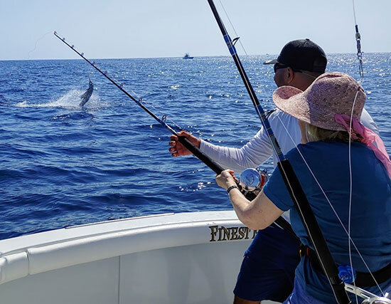 insideline-blog-sailfish02.jpg