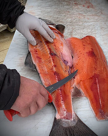 insideline-blog-salmon02.jpg