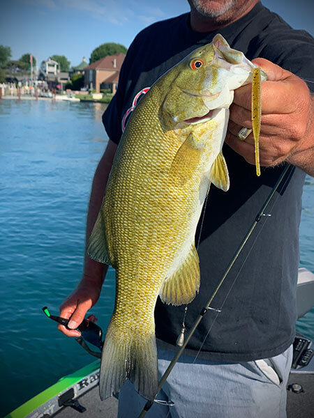 Smallmouth bass with Shad Shape Worm