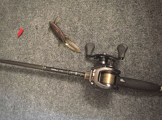The Carolina Rig