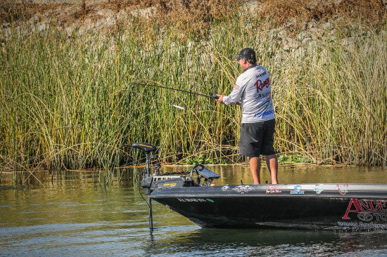 MLF Pro Roy Hawk