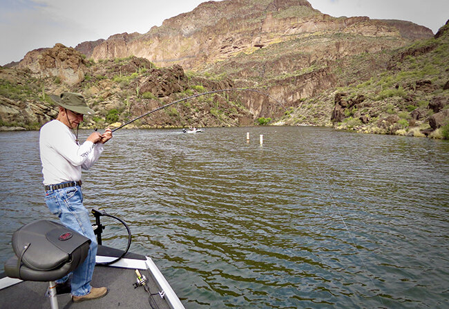 Mojo Rigs for Summer Bass
