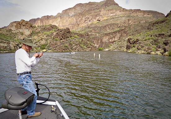 Keep pressure on the fish until you have it in the boat.
