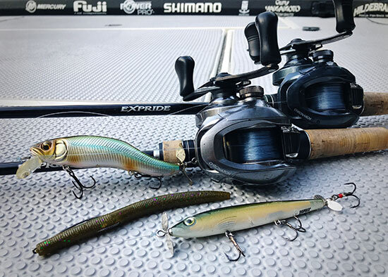 Prop baits and a weightless Senko accounted for all of my catch in this event.