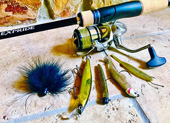 The lures I relied on most included (L-R) a 1/8-ounce marabou jig, Shimano World Minnow 115-SP, 3/8-ounce Hildebrandt Drum Roller swimbait, Ned-rig 4-inch Yamamoto Senko and a 1/2-ounce drop-shot Shad Shape Worm.