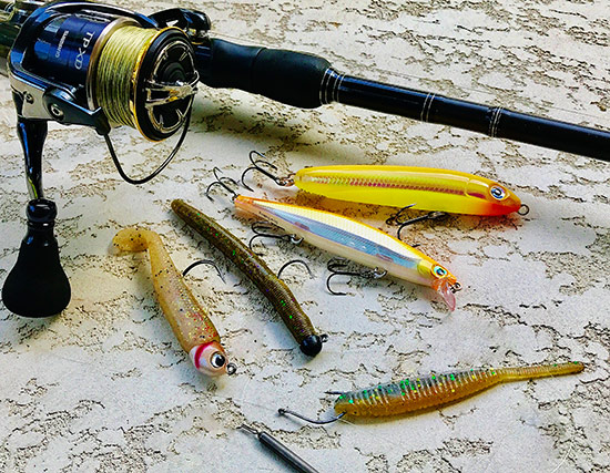 These are among my favorite lures for the St. Lawrence. (Top to bottom) they are a Rapala Skitter V and Shadow Rap, 4-inch Senko with 3/16-ounce VMC Half Moon Jig, Hildebrandt Drum Roller swimbait, and 3-inch Yamamoto Shad Shape Worm tied to a VMC O…