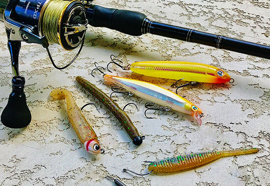 My usual northern smallmouth arsenal, consists of (L-R) a Hildebrandt Drum Roller swimbait, Ned-rig Yamamoto 4-inch Senko, Rapala Shadow Rap and Skitter V, and drop-shot Yamamoto Shad Shape Worm (bottom).