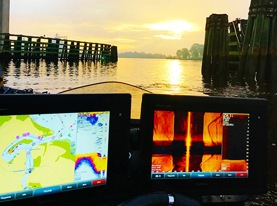 The waterline on these bridge pilings reveals Winyah Bay's strong tidal fluctuation.