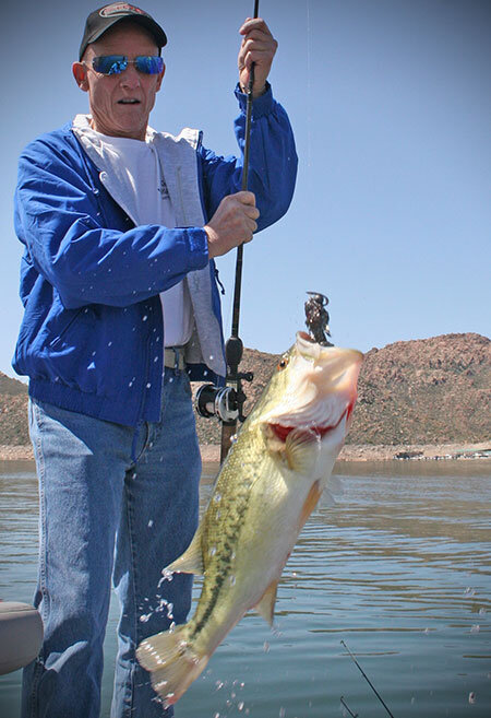 insideline-springtips-jigfish.jpg